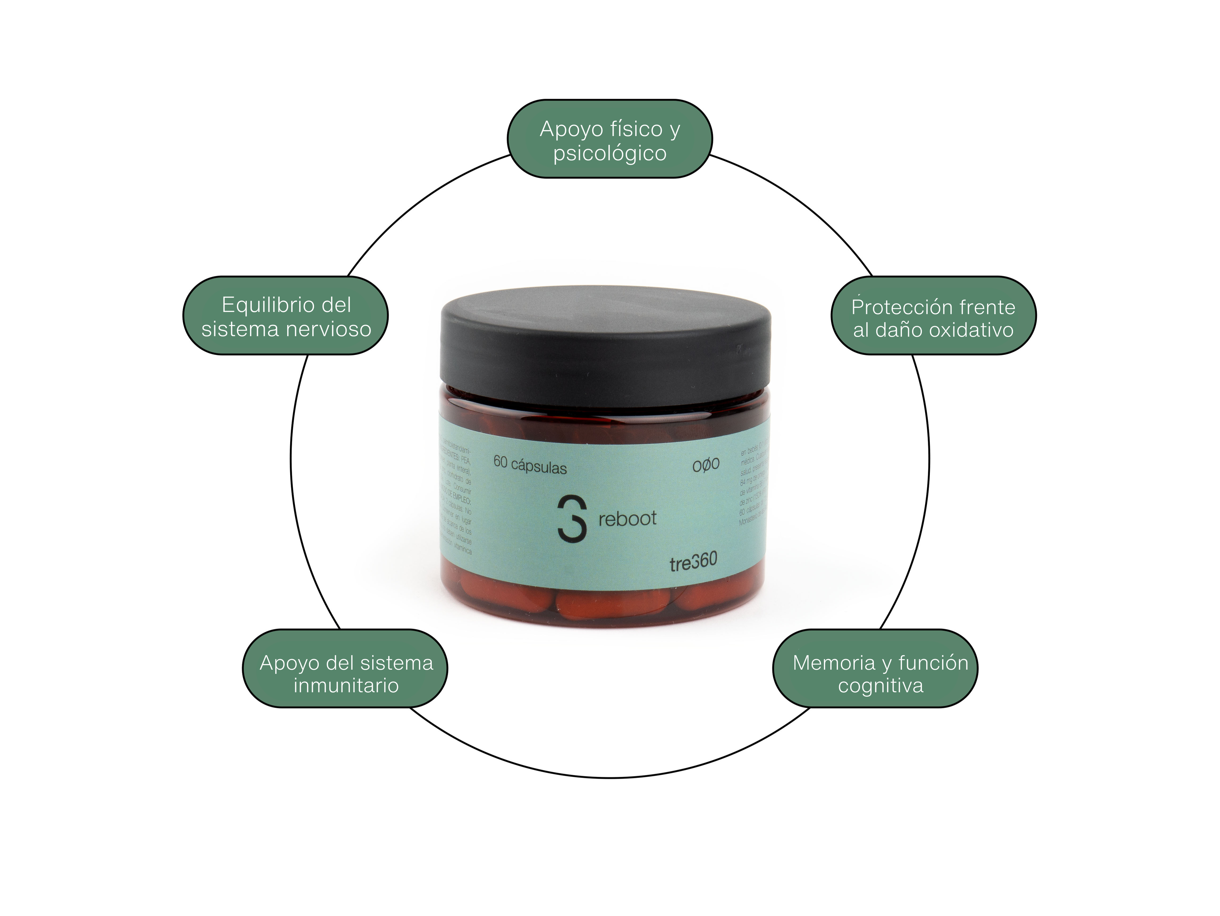 Reboot. Protección frente al Daño Oxidativo, el Desgaste Celular y la Fatiga.